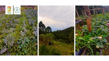 Sítio Bebedouro Agricultura Orgânica. | Parelheiros | RI-UPCR-0057